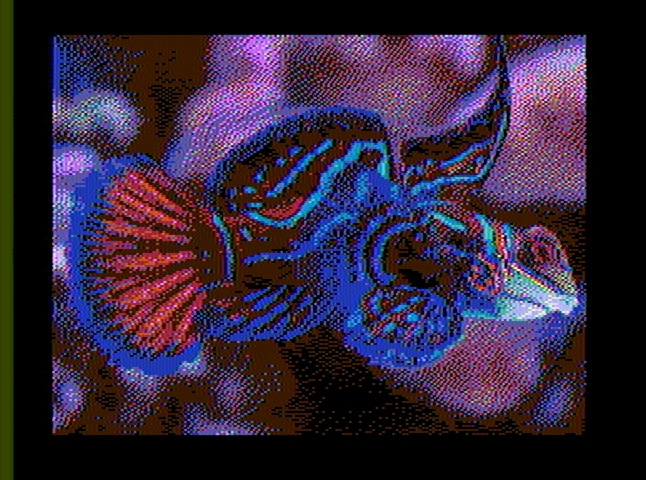 fish_640x200_out.png